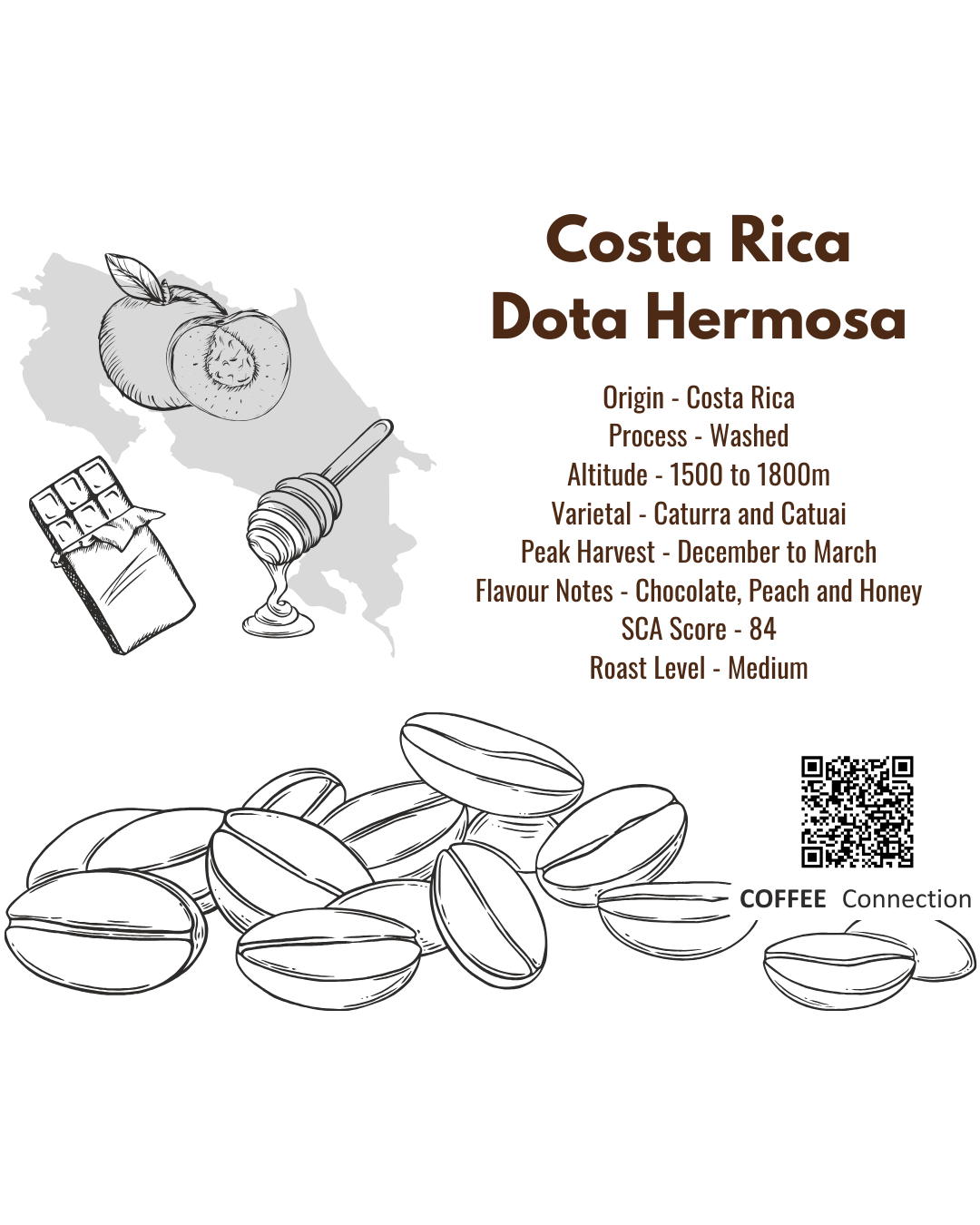 Costa Rica Dota Hermosa, Washed
