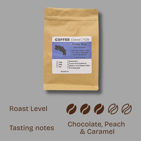 Costa Rica Dota Hermosa, Washed